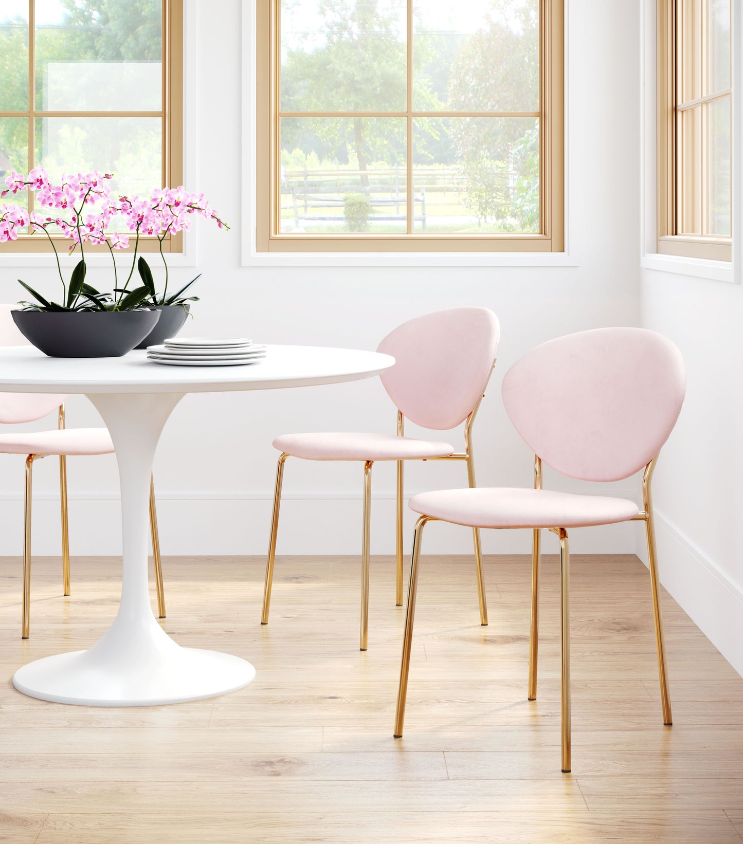 Clyde Dining Chair Pink & Gold (Set of 2)